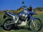 Suzuki DR 800S Big